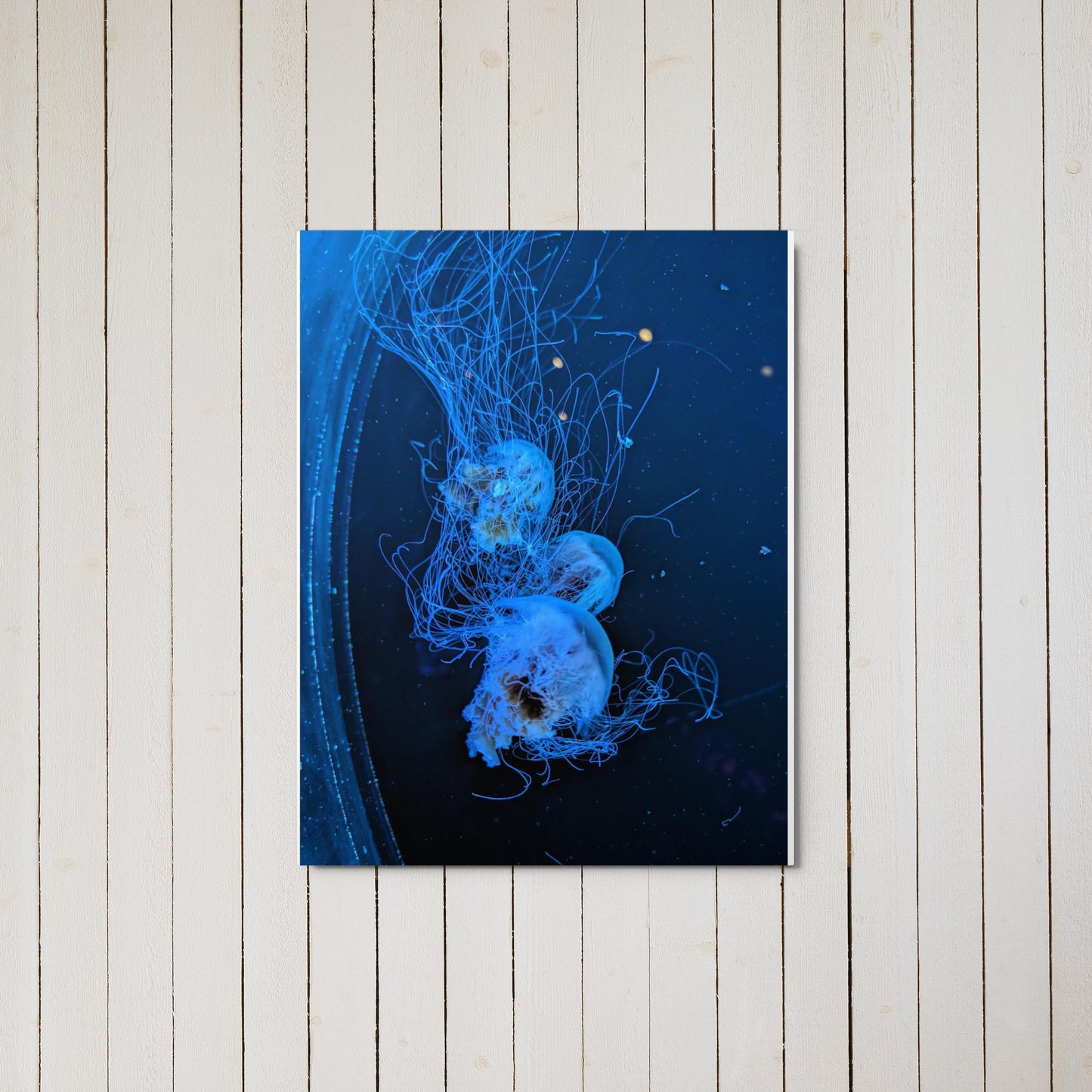 Metal prints Blue Jelly
