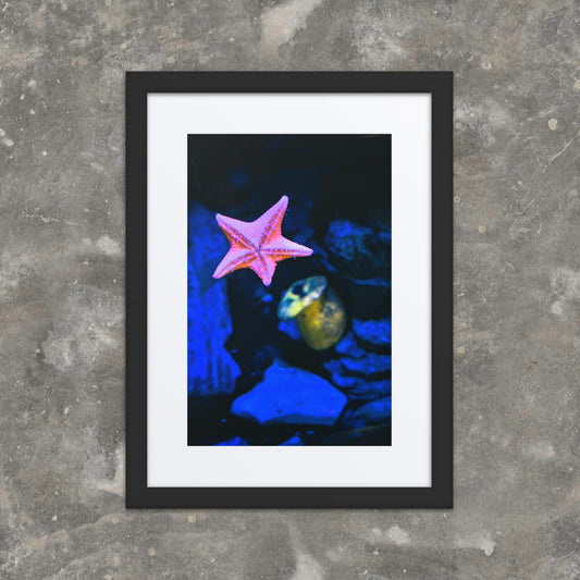 Pink Star Framed Photo